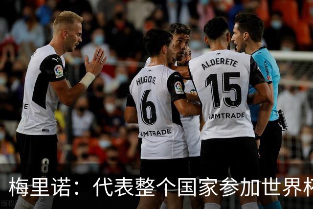梅里诺：代表整个国家参加世界杯是一种荣耀，这真的是梦想成真